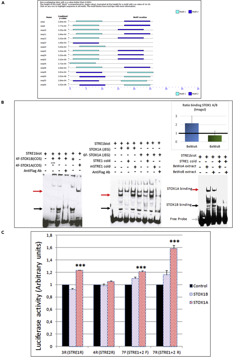 Figure 2