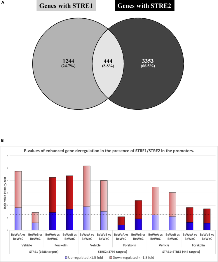 Figure 4