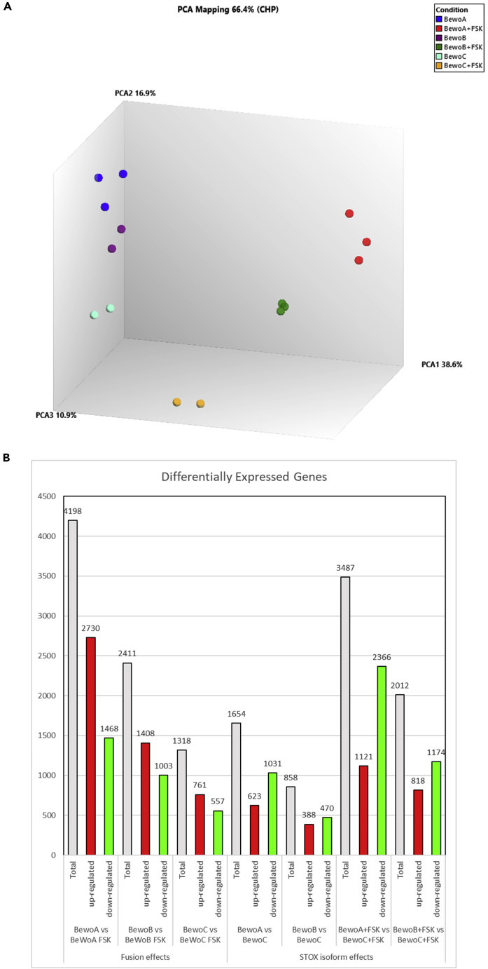 Figure 3