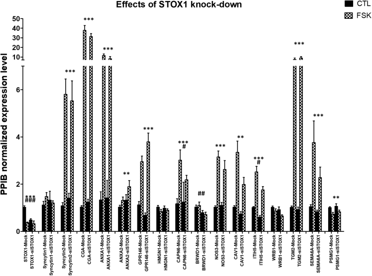 Figure 1