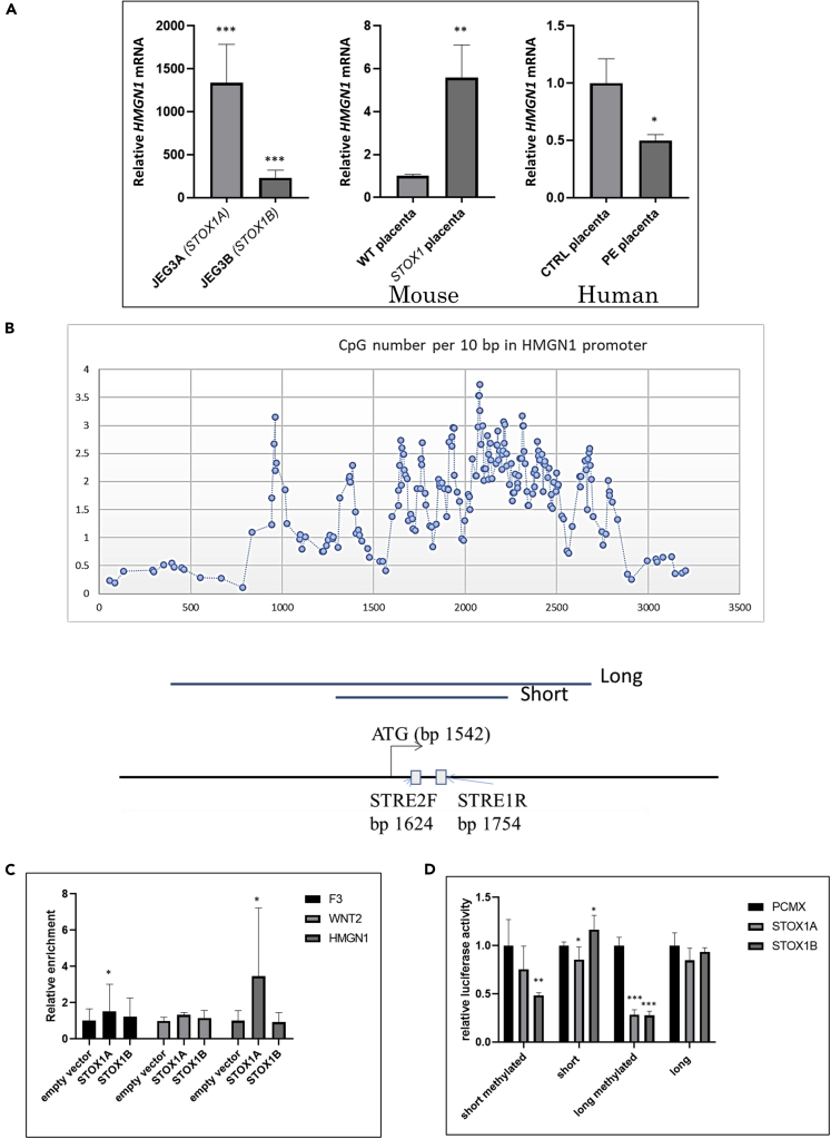 Figure 7