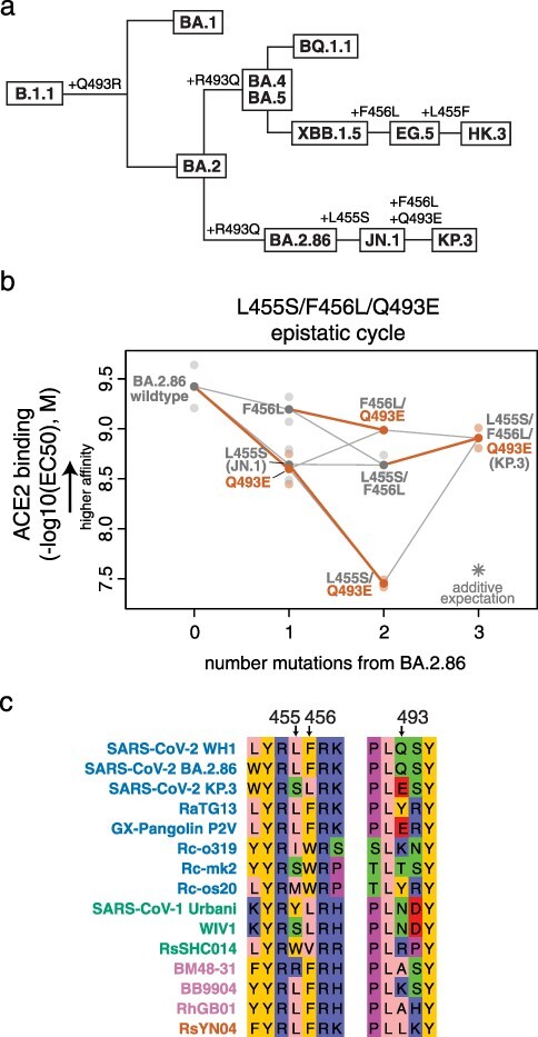 Figure 4.