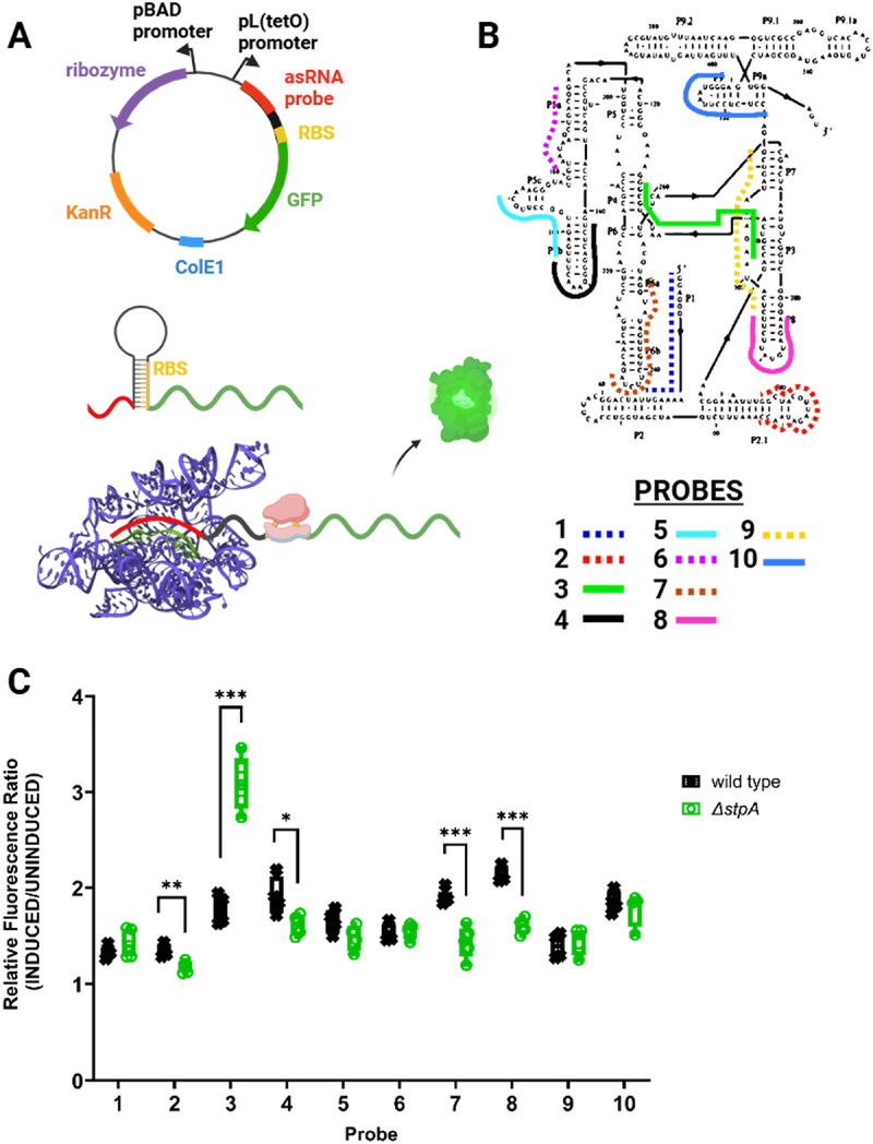 Figure 1.