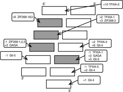 FIGURE 11.