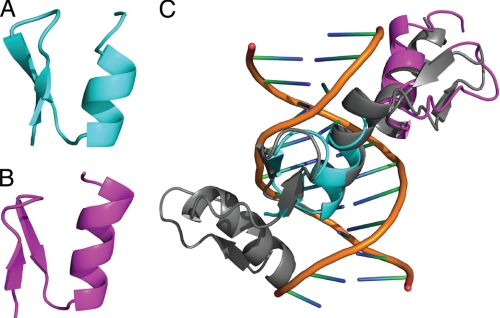 FIGURE 6.