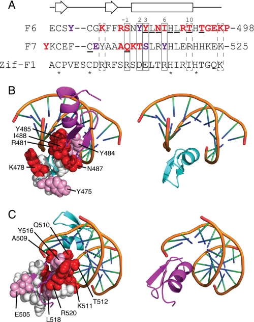 FIGURE 10.