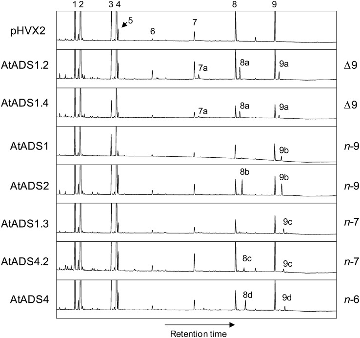 Figure 3.