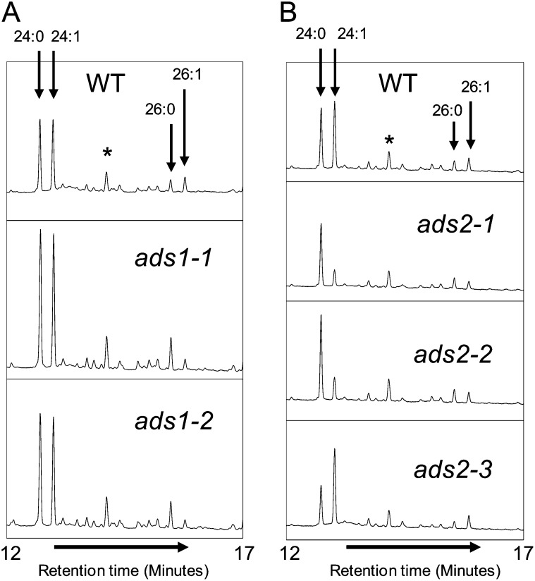 Figure 7.