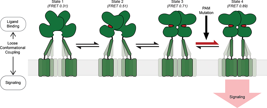 Fig. 5: