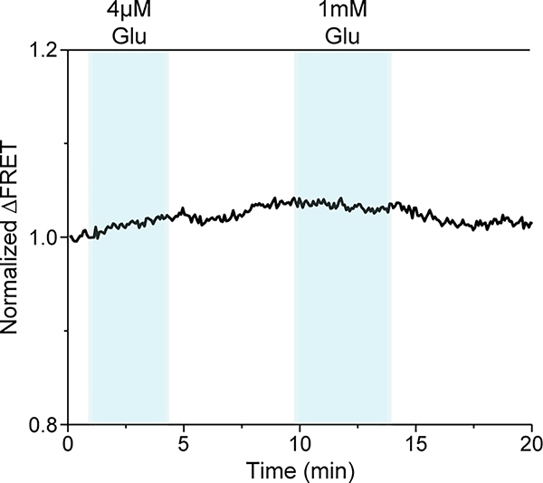 Extended Data Fig. 6