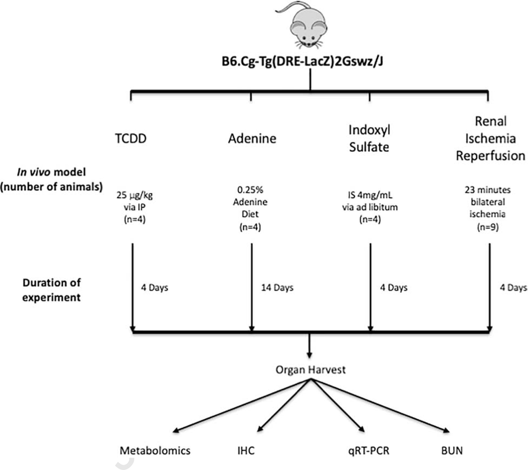 Figure 1: