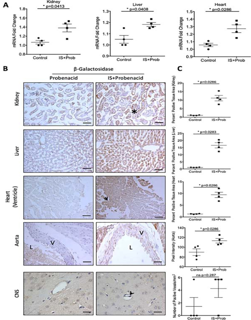 Figure 4: