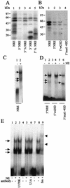 FIG.4.