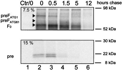 FIG. 6.