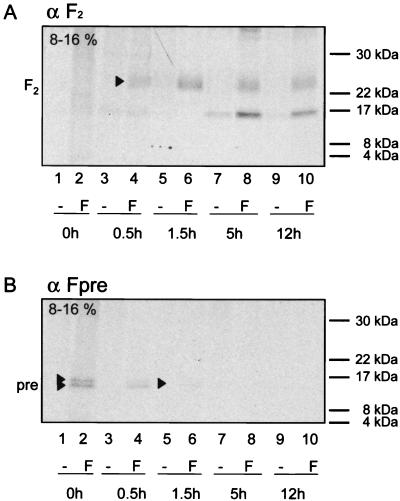 FIG. 7.