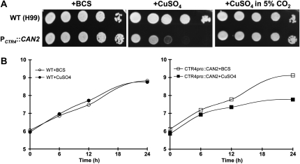 Figure 2.—