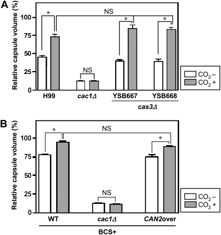 Figure 5.—