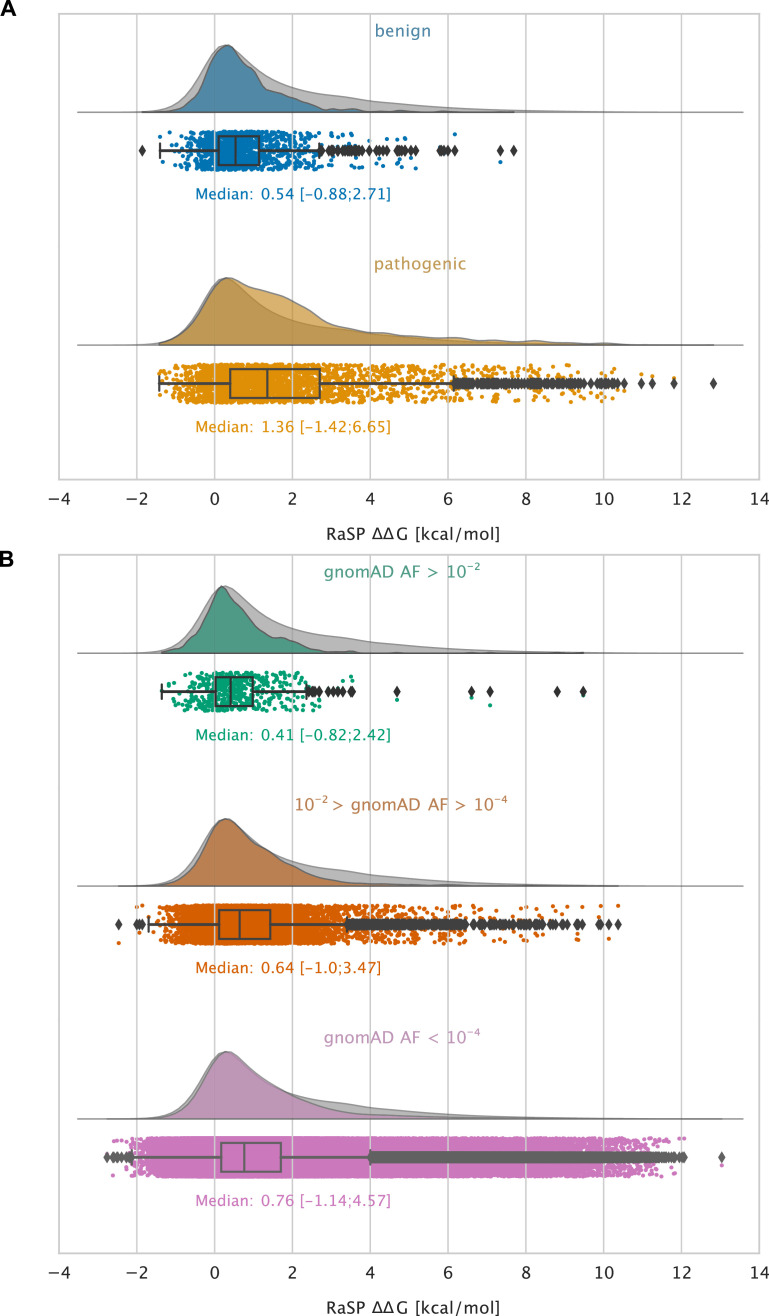 Figure 5—figure supplement 2.