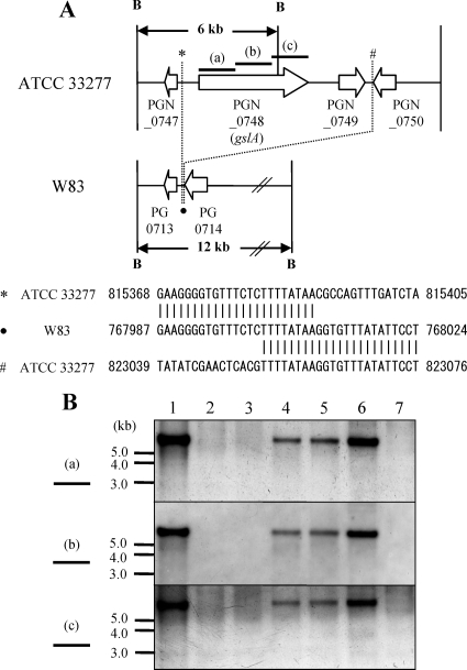 FIG. 6.