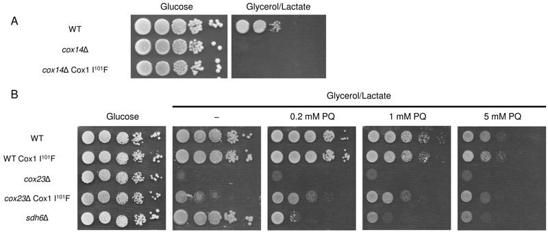 Figure 6