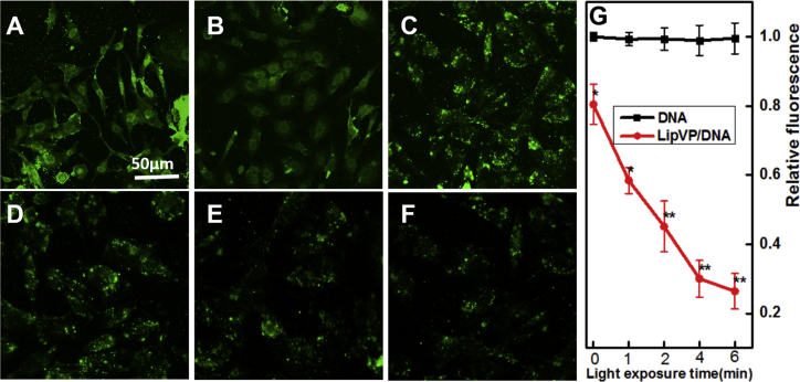 Figure 6