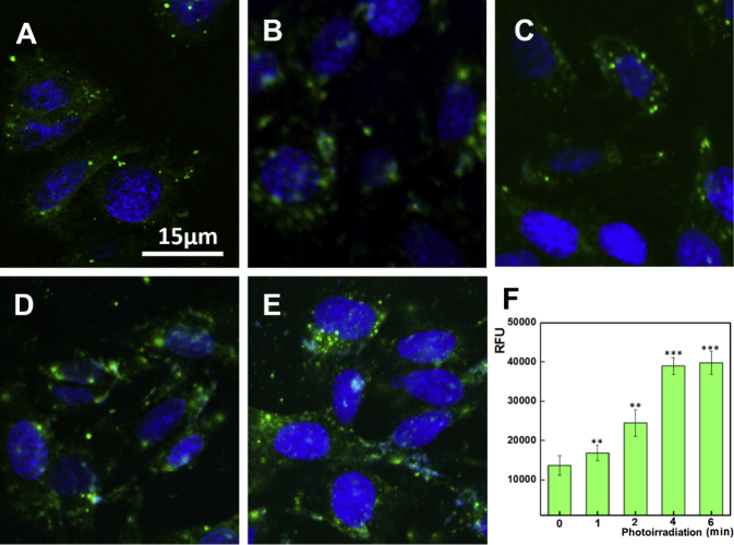 Figure 3