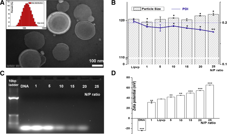 Figure 2