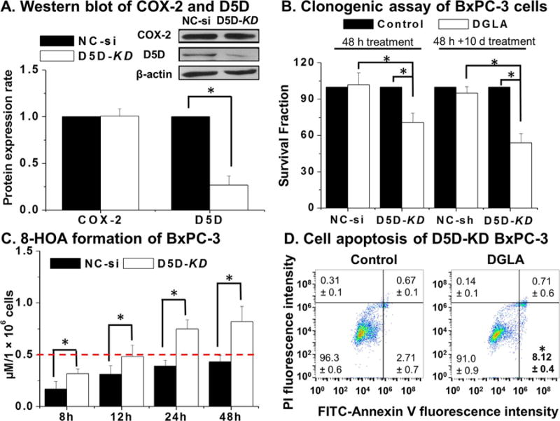 Knockdown Delta 5 Desaturase Promotes The Formation Of A Novel Free