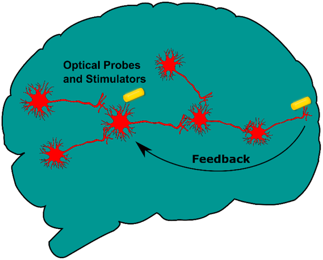 Figure 4.