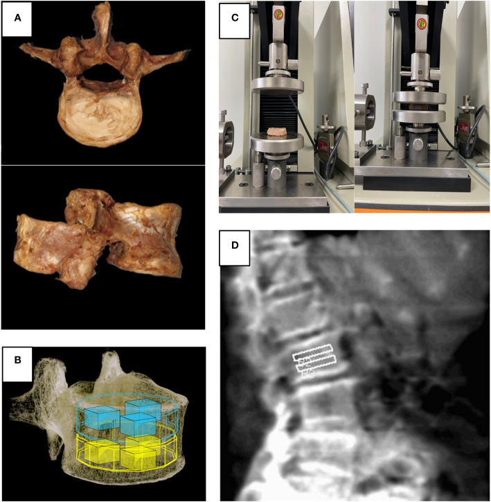 Figure 2
