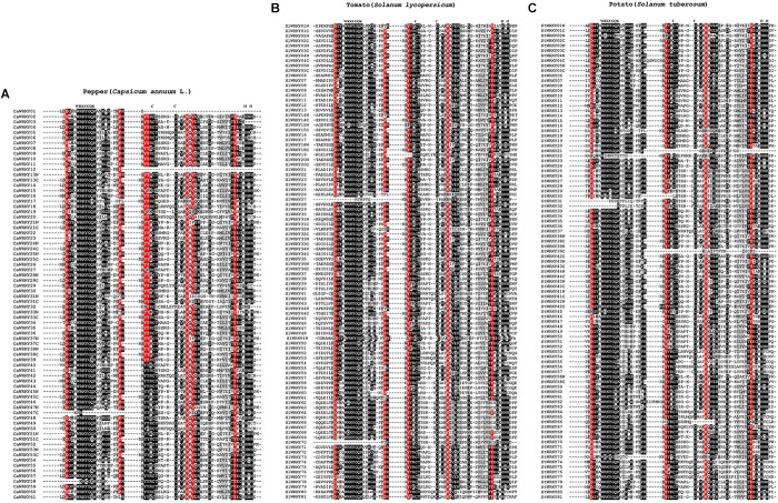 FIGURE 3