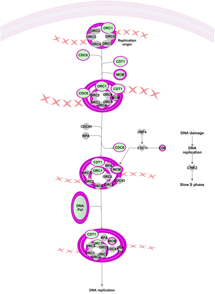 Figure 2