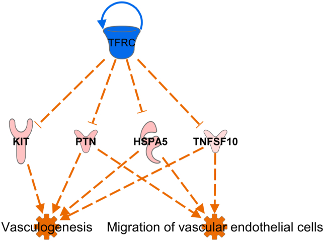 Figure 4