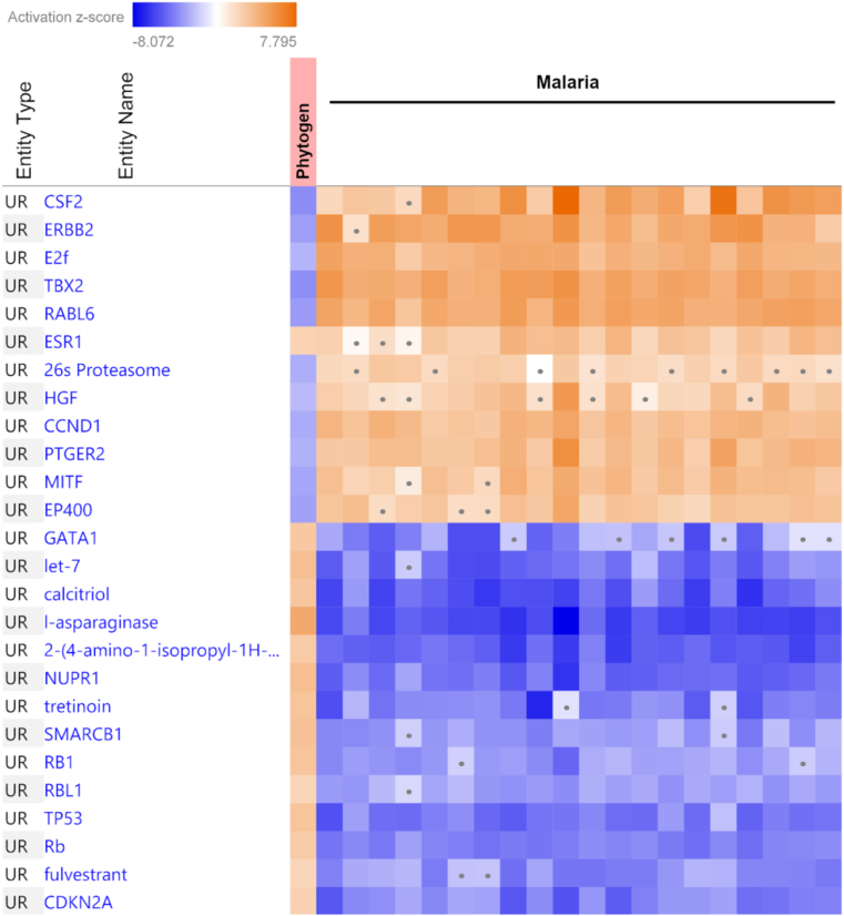 Figure 6