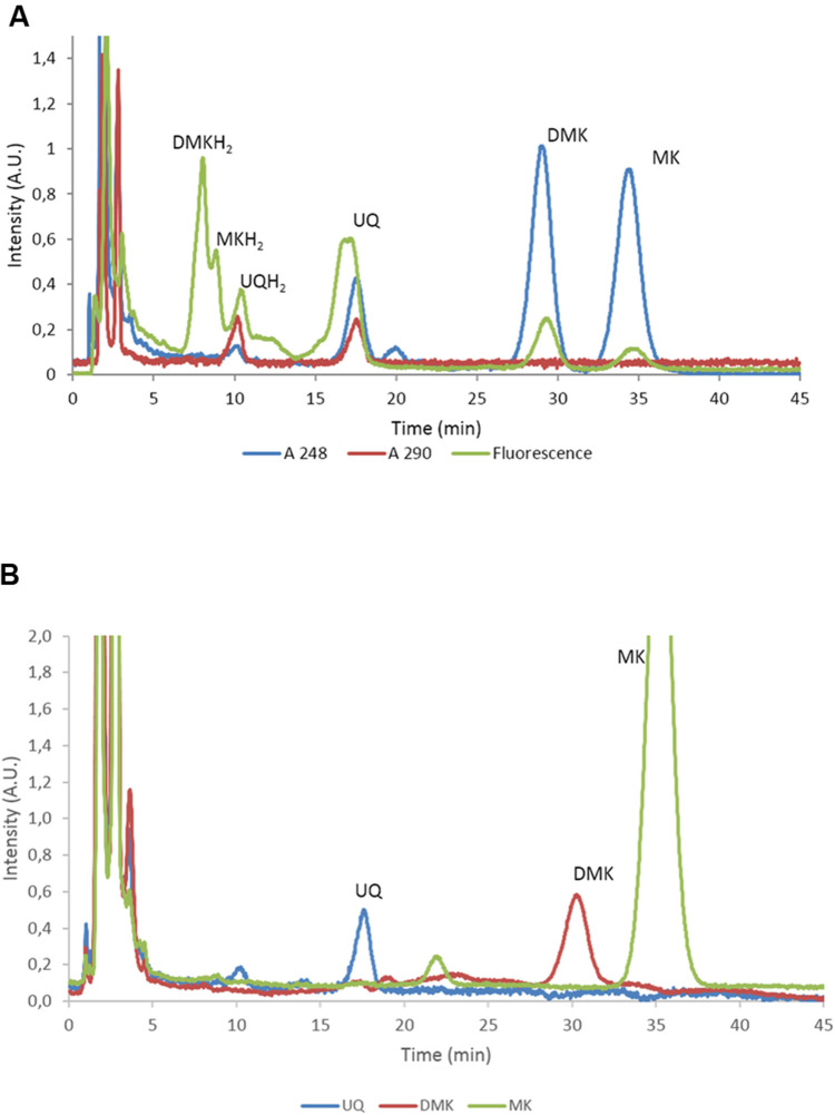 FIGURE 2