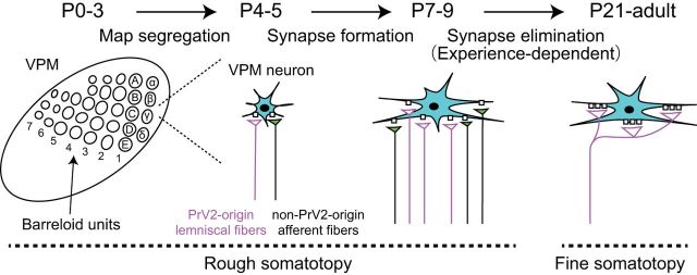 Figure 9.