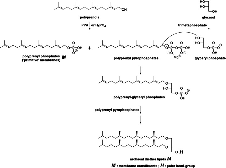 Fig. 10