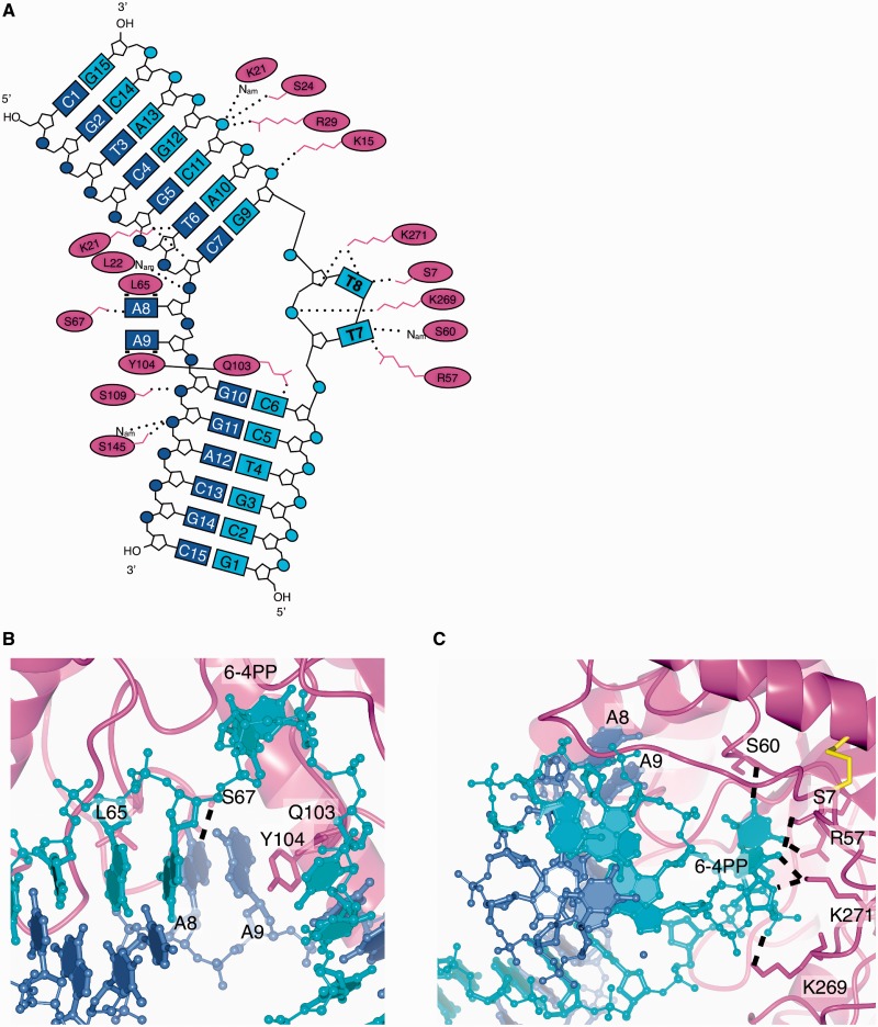 Figure 3.