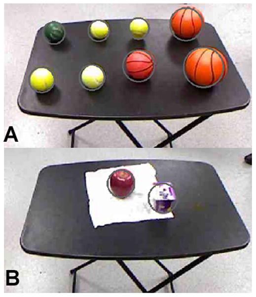 Fig. 5