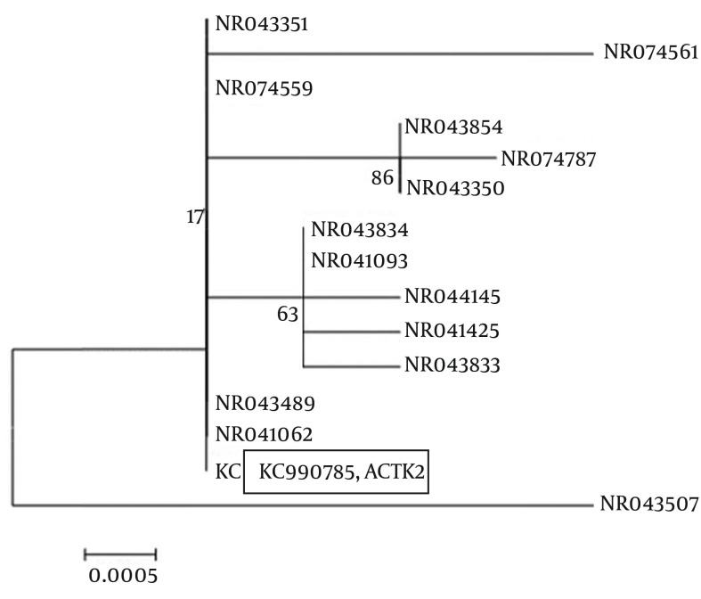 Figure 3.