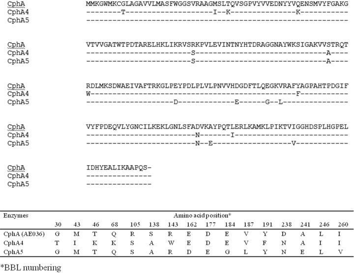 FIG 1