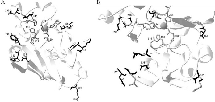 FIG 2