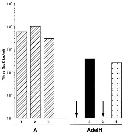 FIG. 4