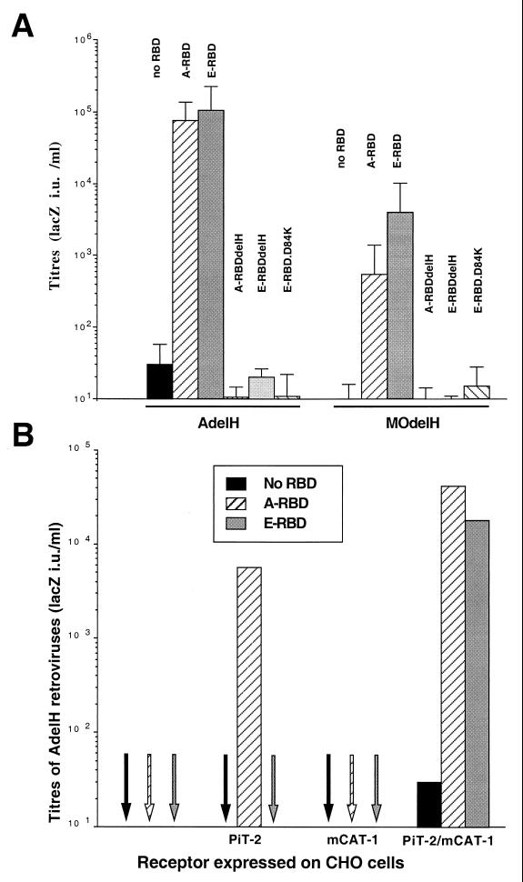 FIG. 6