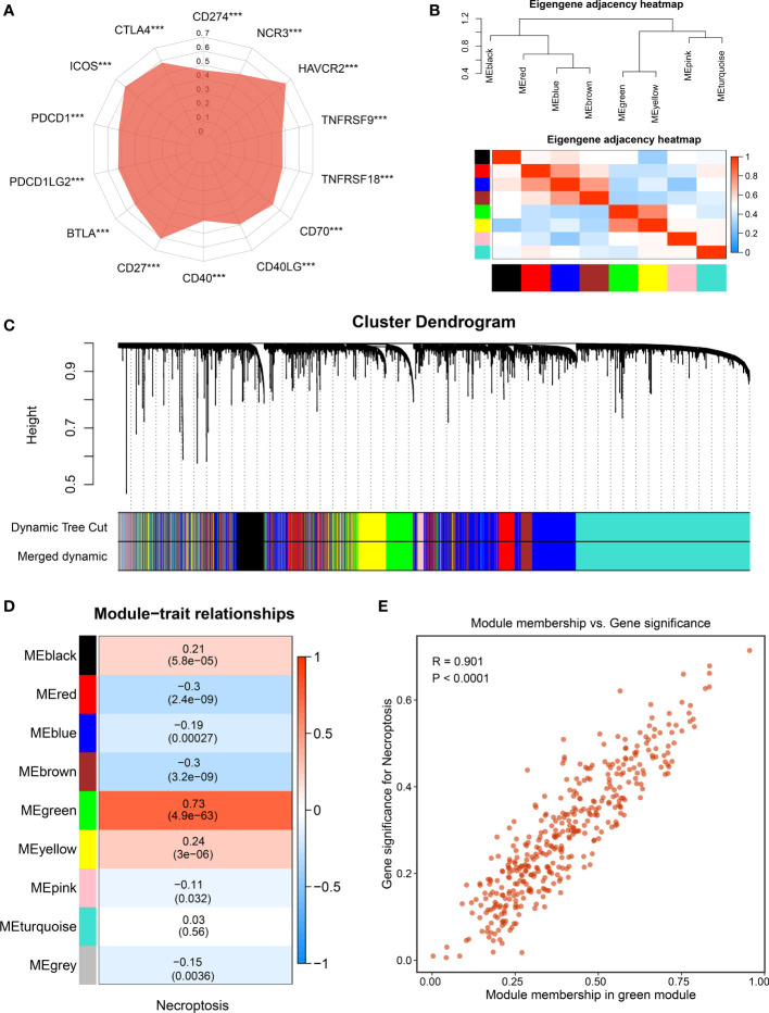 Figure 3