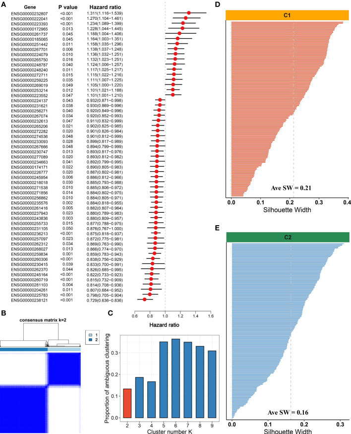 Figure 4