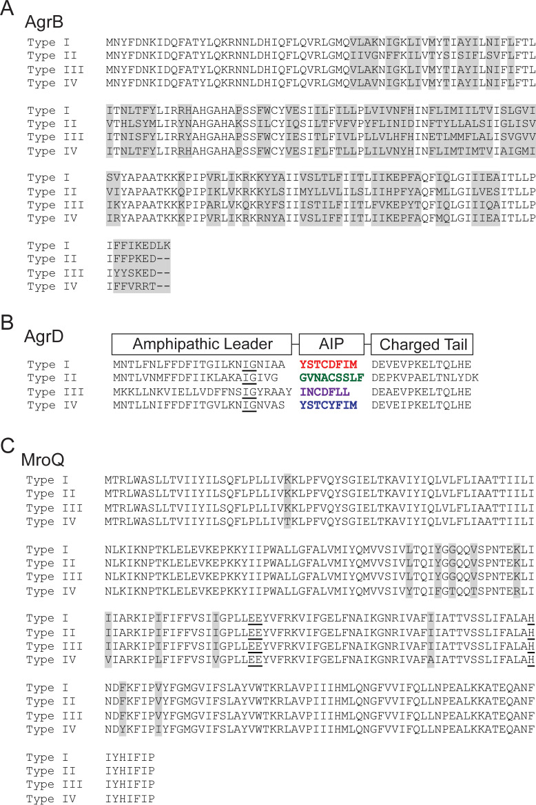 FIG 1