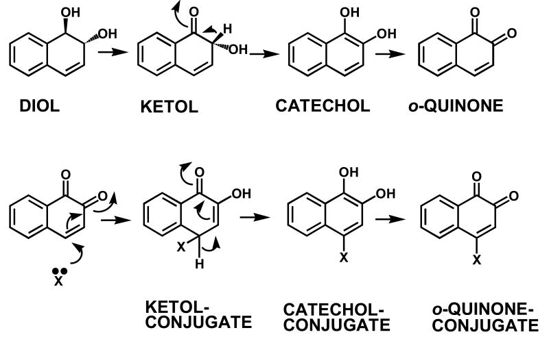 Fig. 9