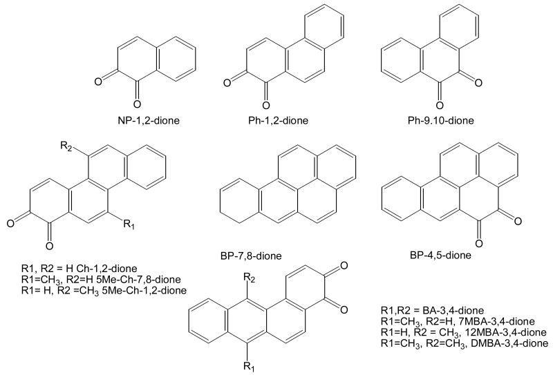 Fig. 13