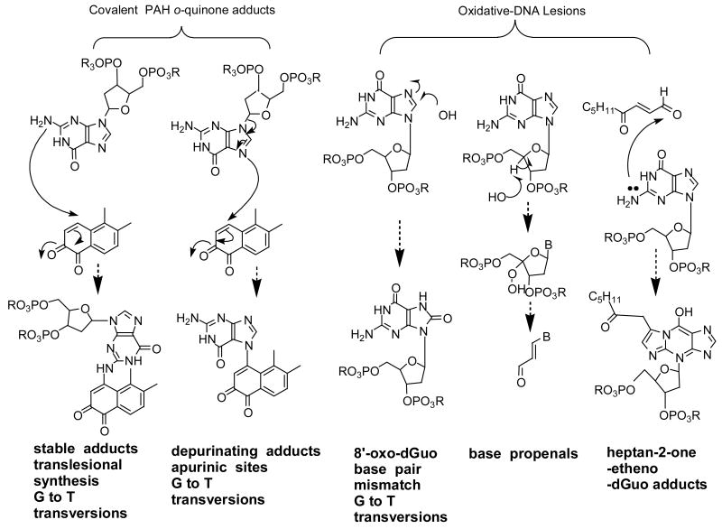 Fig. 17